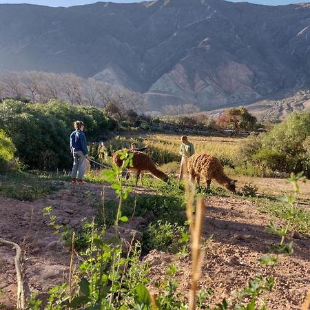 Dormir Con Llamas Maimará Buitenkant foto