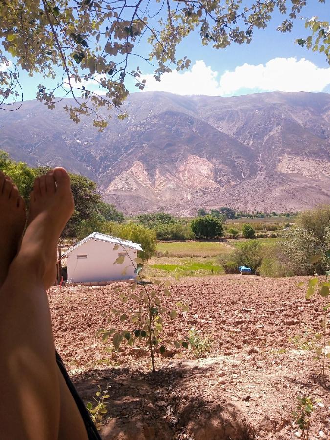 Dormir Con Llamas Maimará Buitenkant foto