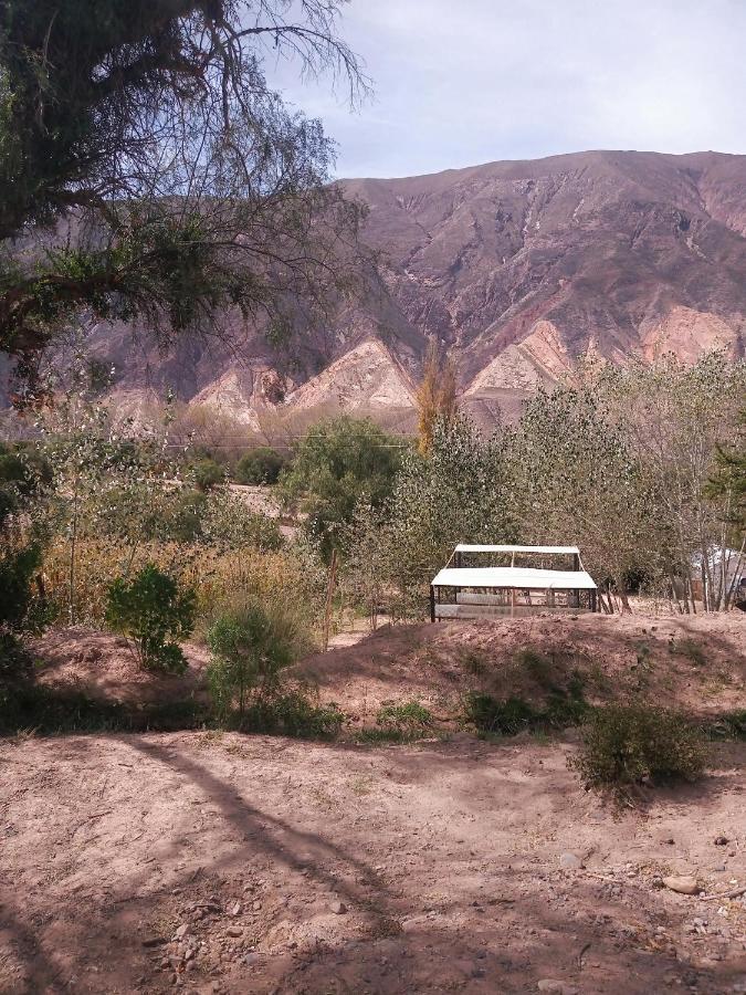Dormir Con Llamas Maimará Buitenkant foto