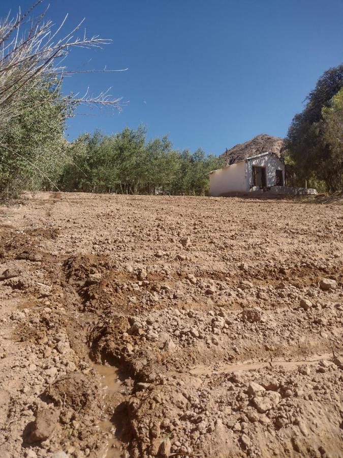 Dormir Con Llamas Maimará Buitenkant foto