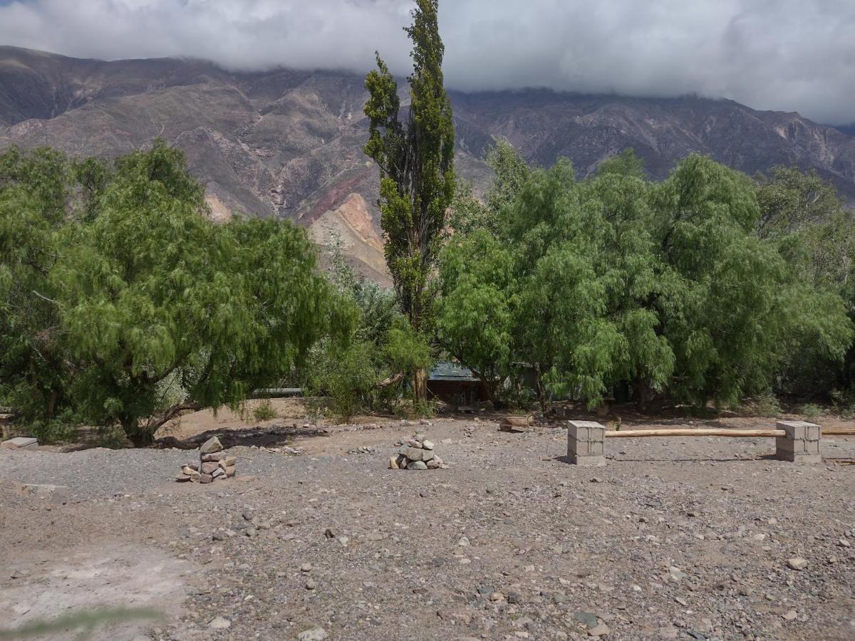 Dormir Con Llamas Maimará Buitenkant foto