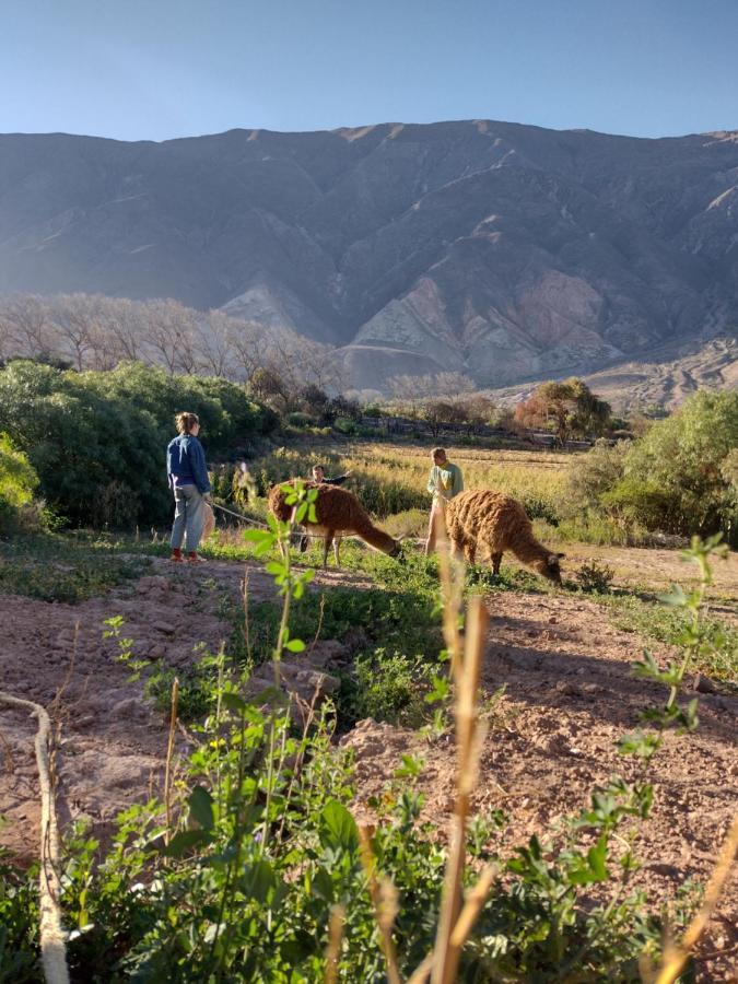 Dormir Con Llamas Maimará Buitenkant foto